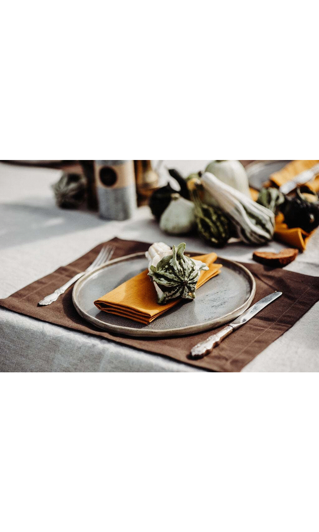 Custom dining placemats