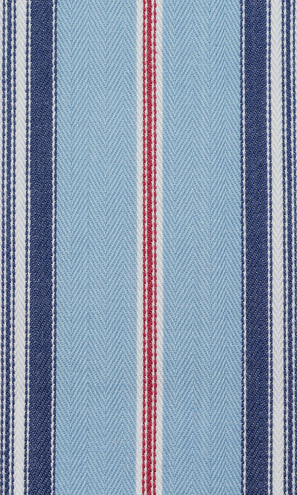 Cotton Home Décor Fabric Sample (Red/ Blue)